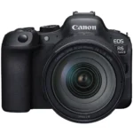 Canon EOS R6 Mark II + Canon RF 24-105 mm f/4 L IS USM (Canon 5666C013) - Imagen 7